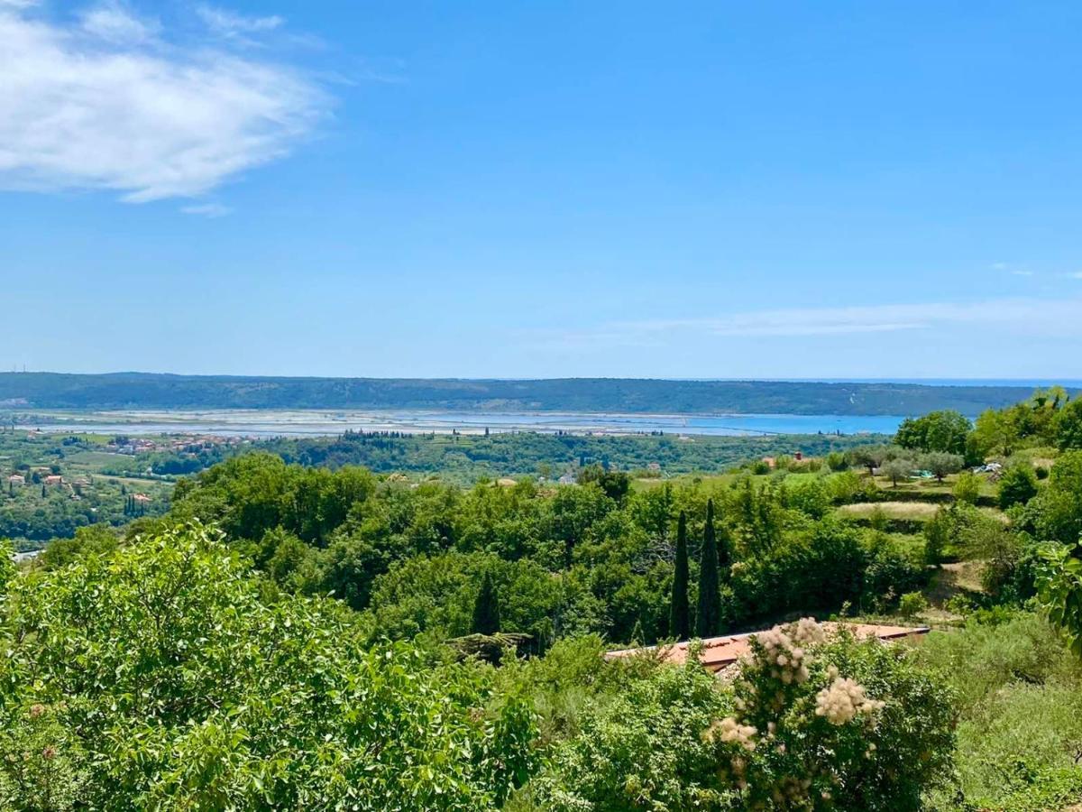 Apartma Hill Portorose Εξωτερικό φωτογραφία